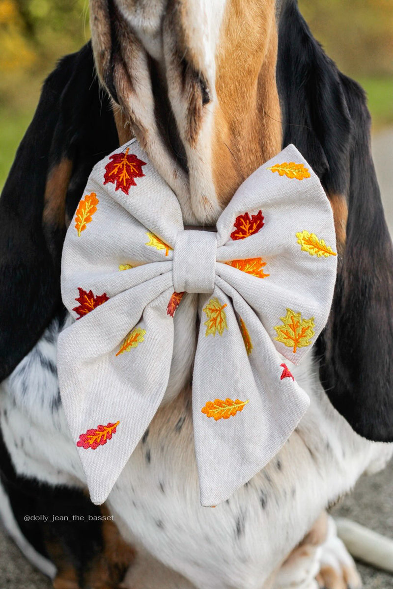 Custom order for dolly - Canoodle Company