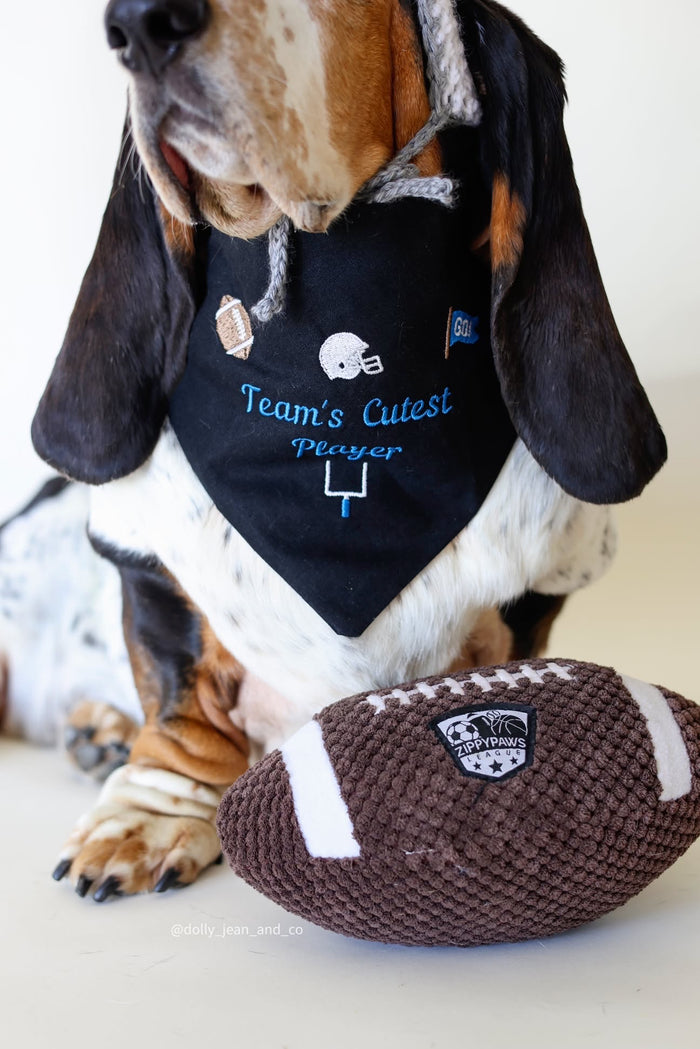 Football Icons Embroidered Dog Bandana | CUSTOM COLORS