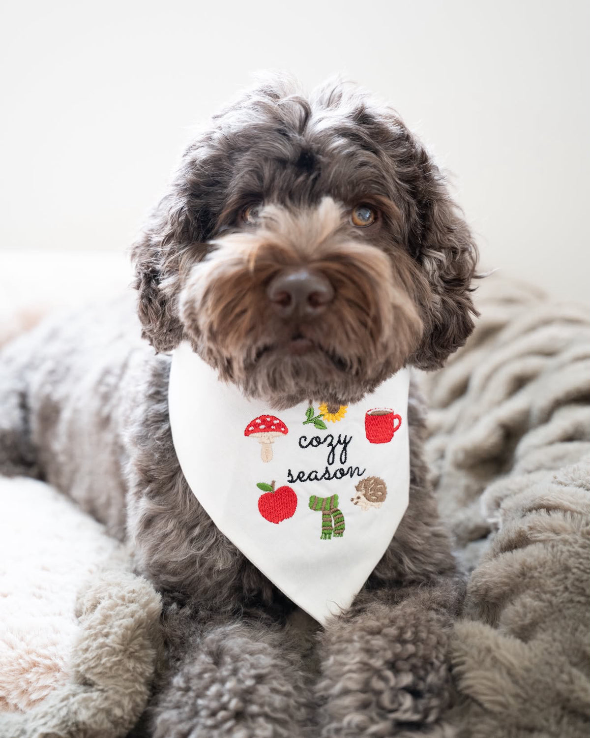 Cozy Season Embroidered Dog Bandana - Canoodle Company