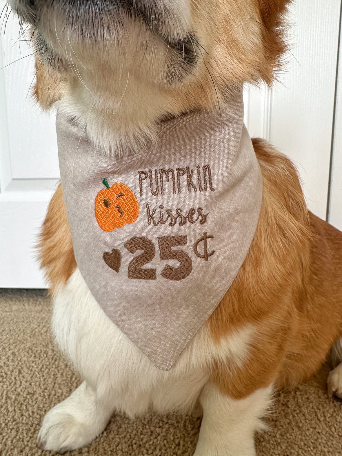 Pumpkin Kisses Embroidered Dog Bandana