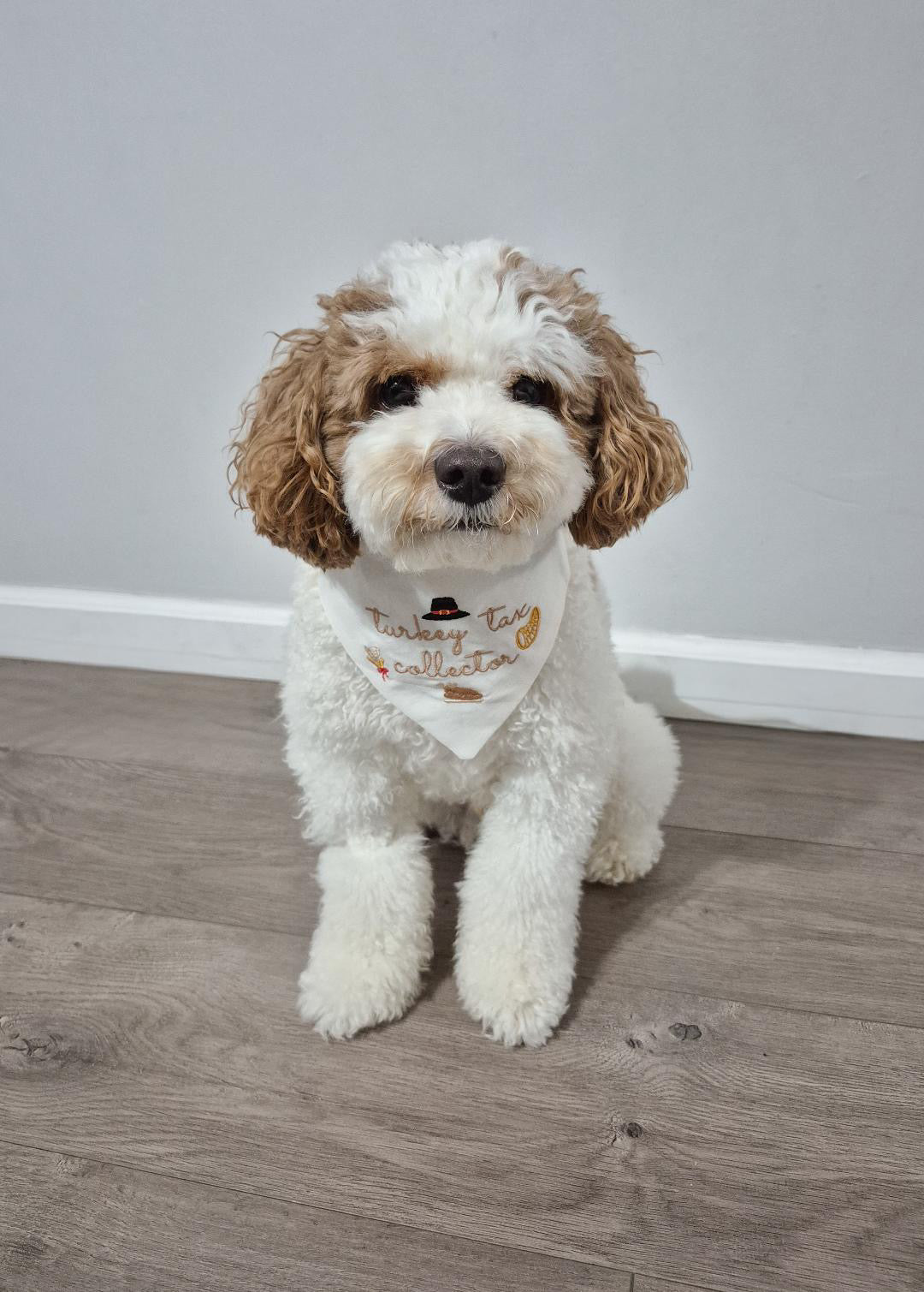 Turkey Tax Collector Embroidered Dog Bandana - Canoodle Company