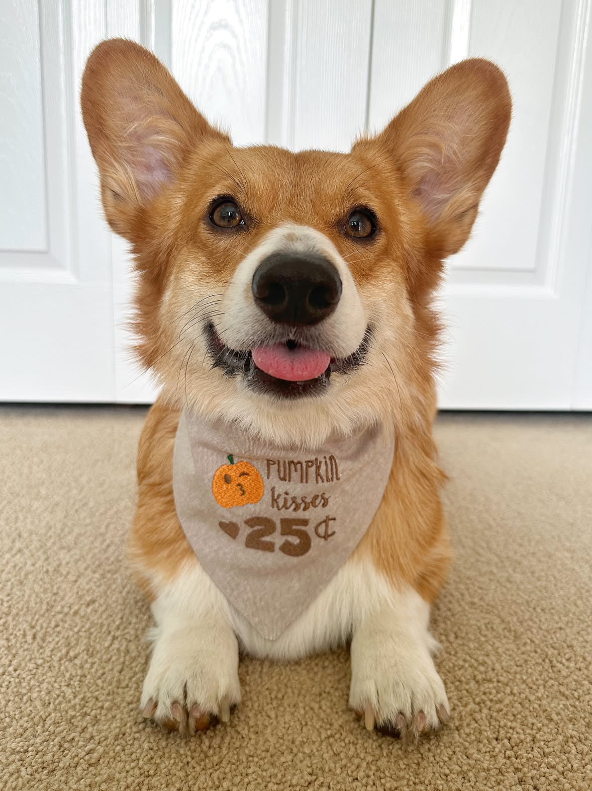 Pumpkin Kisses Embroidered Dog Bandana