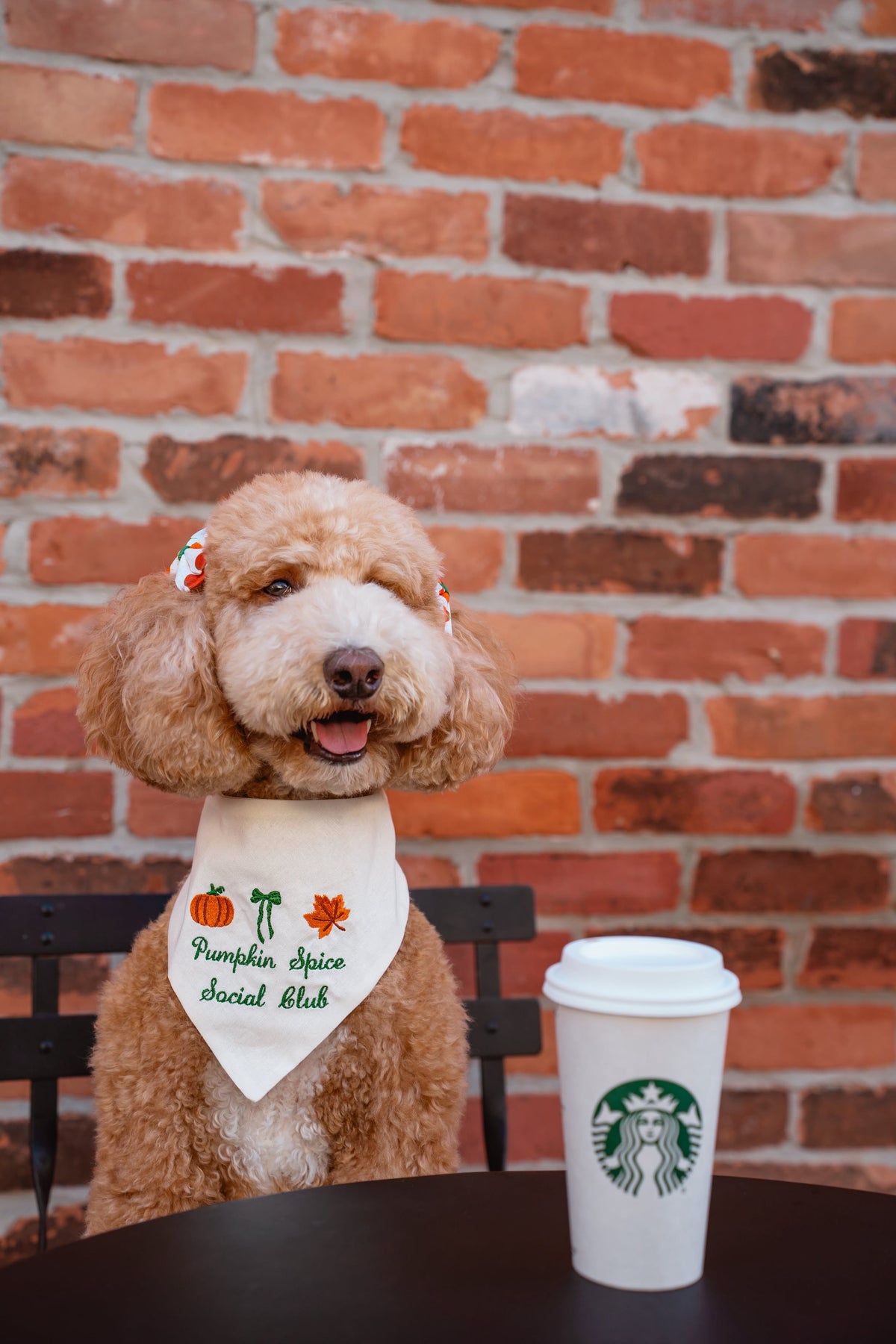 Pumpkin Spice Social Club Embroidered Dog Bandana