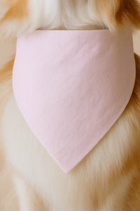 Blush Pink