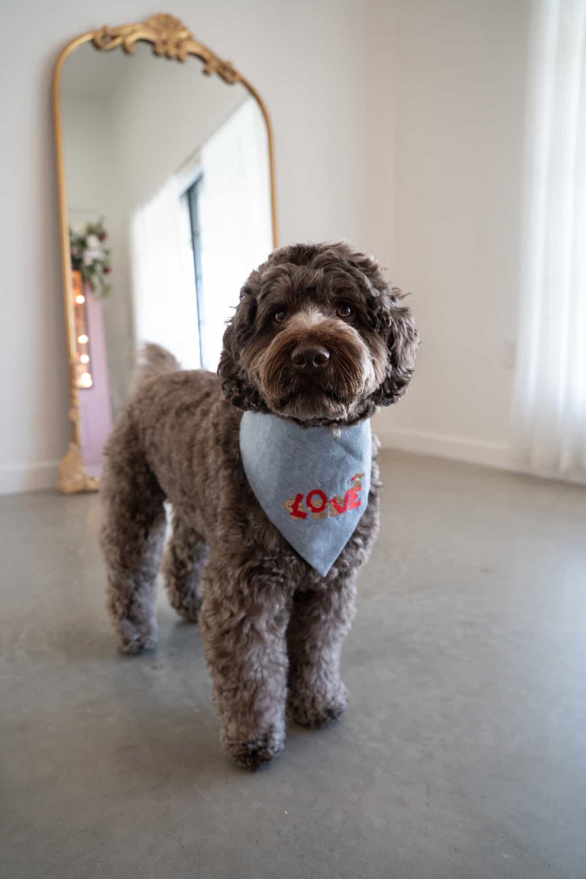 LOVE Bears Embroidered Dog Bandana