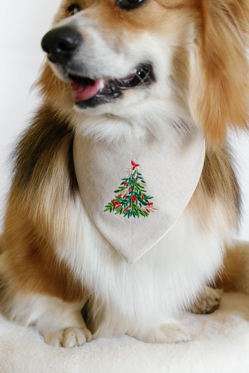 Dog wearing a bandana with a Christmas tree design on a white background