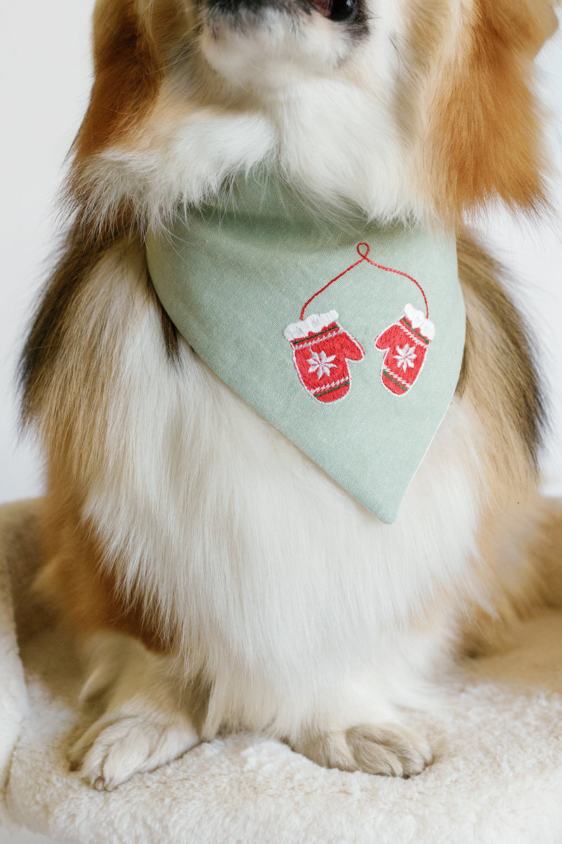Dog wearing a green bandana with red mittens design on a white background