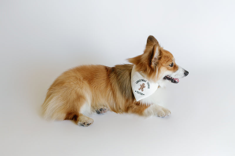 Dog wearing a bandana with text on a white background