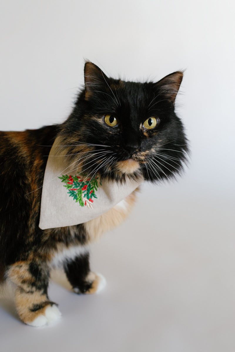 cat wearing embroidered Christmas bandana