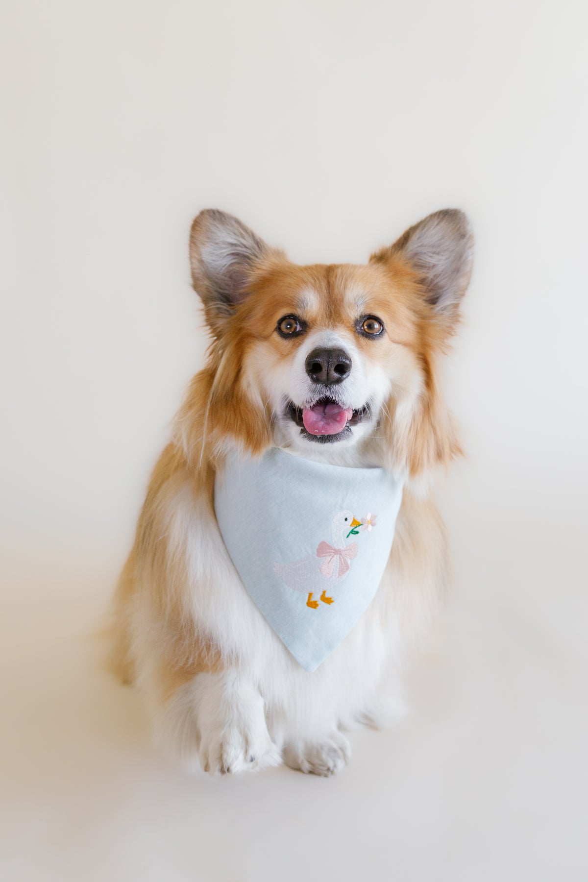Cottage Goose Embroidered Dog Bandana - Canoodle Company