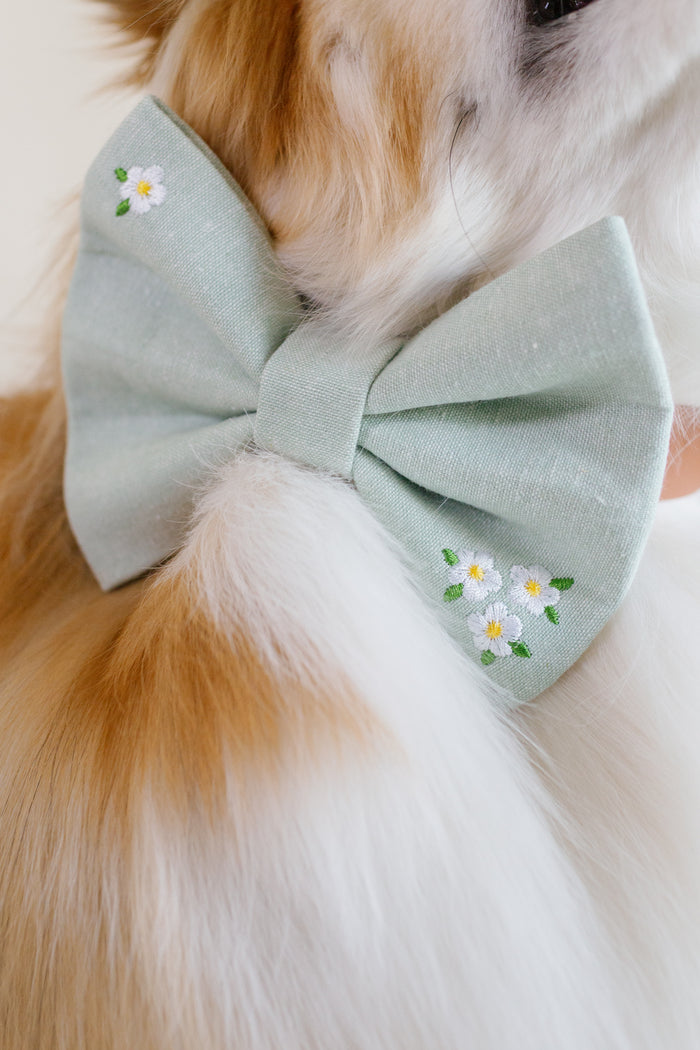 Spring Embroidered Bowtie for Dog Collar - Canoodle Company