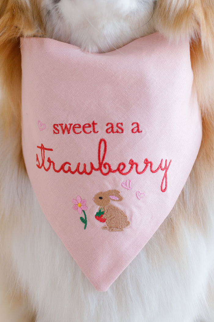 Berry Bunny Embroidered Dog Bandana - Canoodle Company