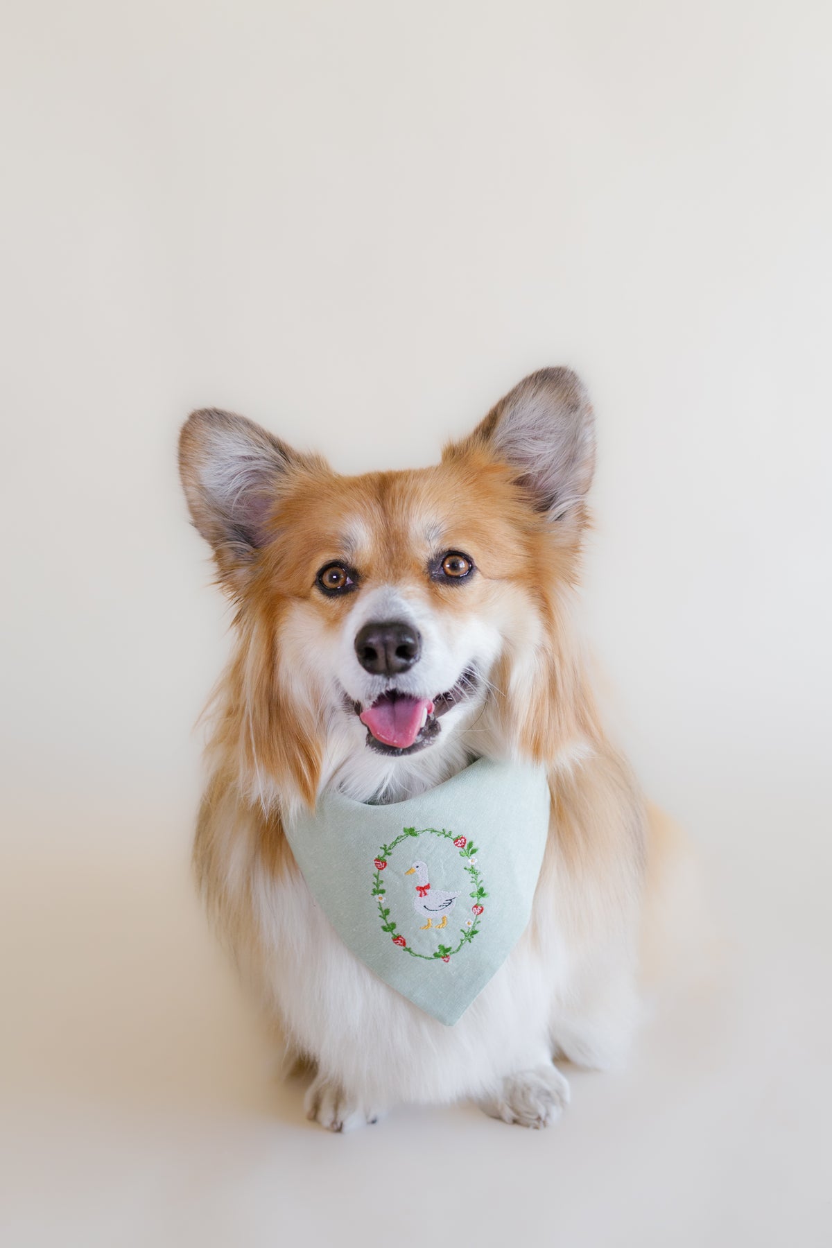 Strawberry Goose Embroidered Dog Bandana - Canoodle Company