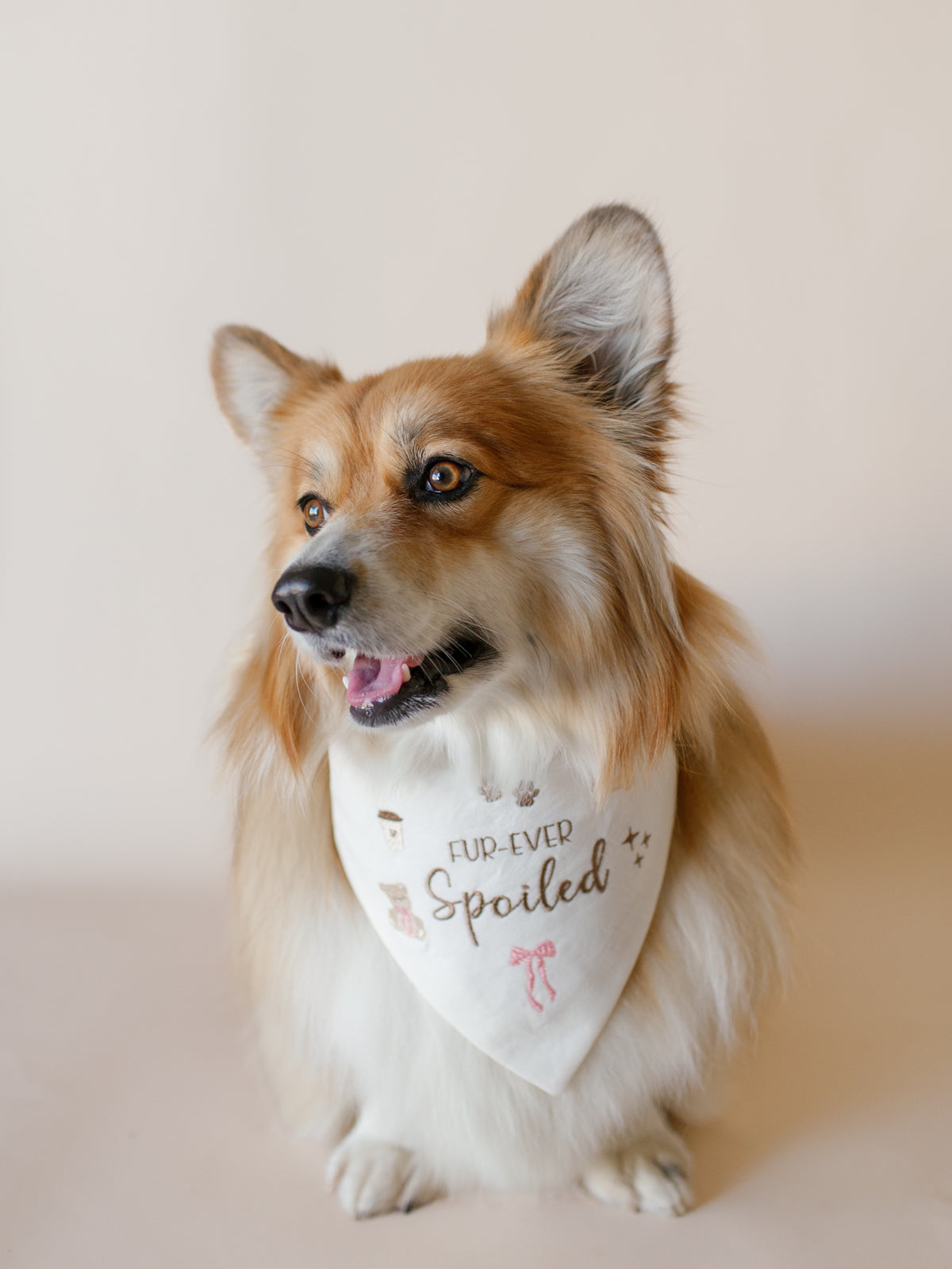 Embroidered Dog Bandana | Custom Text & Icons - Canoodle Company