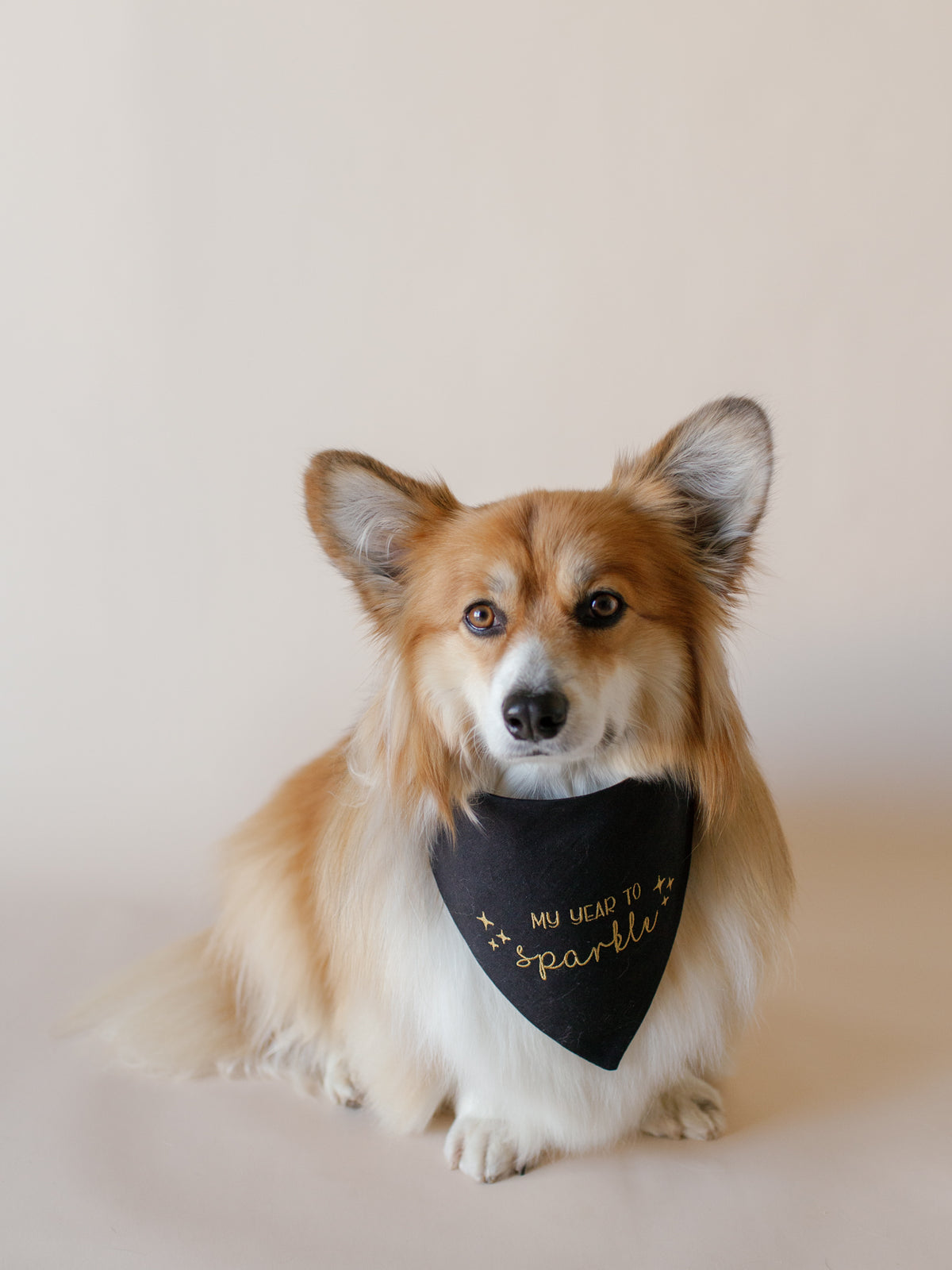 Embroidered Dog Bandana | Custom Text & Icons on Sides - Canoodle Company