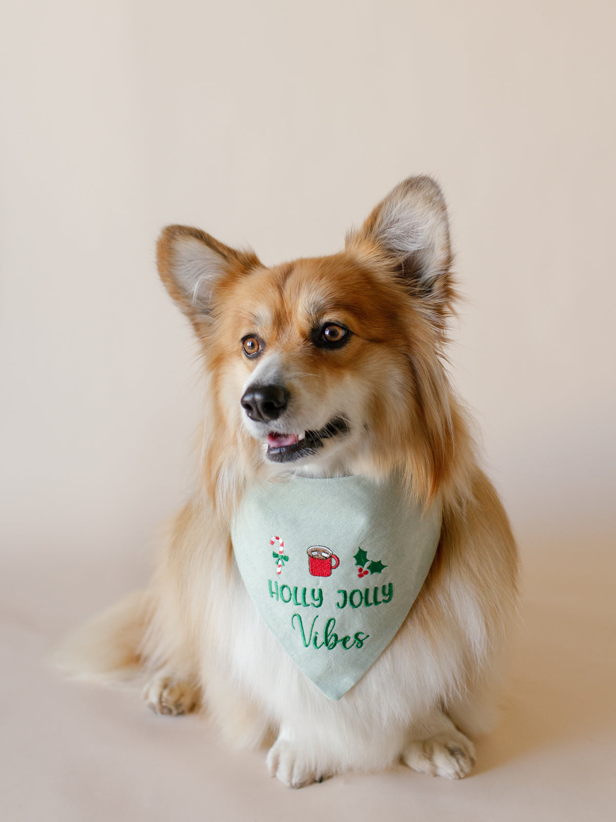 Embroidered Dog Bandana | Custom Text & 3 Icons Top - Canoodle Company