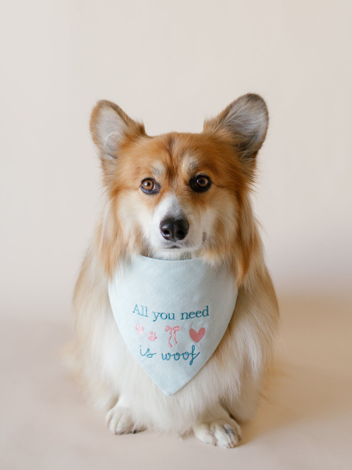 Embroidered Dog Bandana | Custom Text & 3 Icons Middle - Canoodle Company