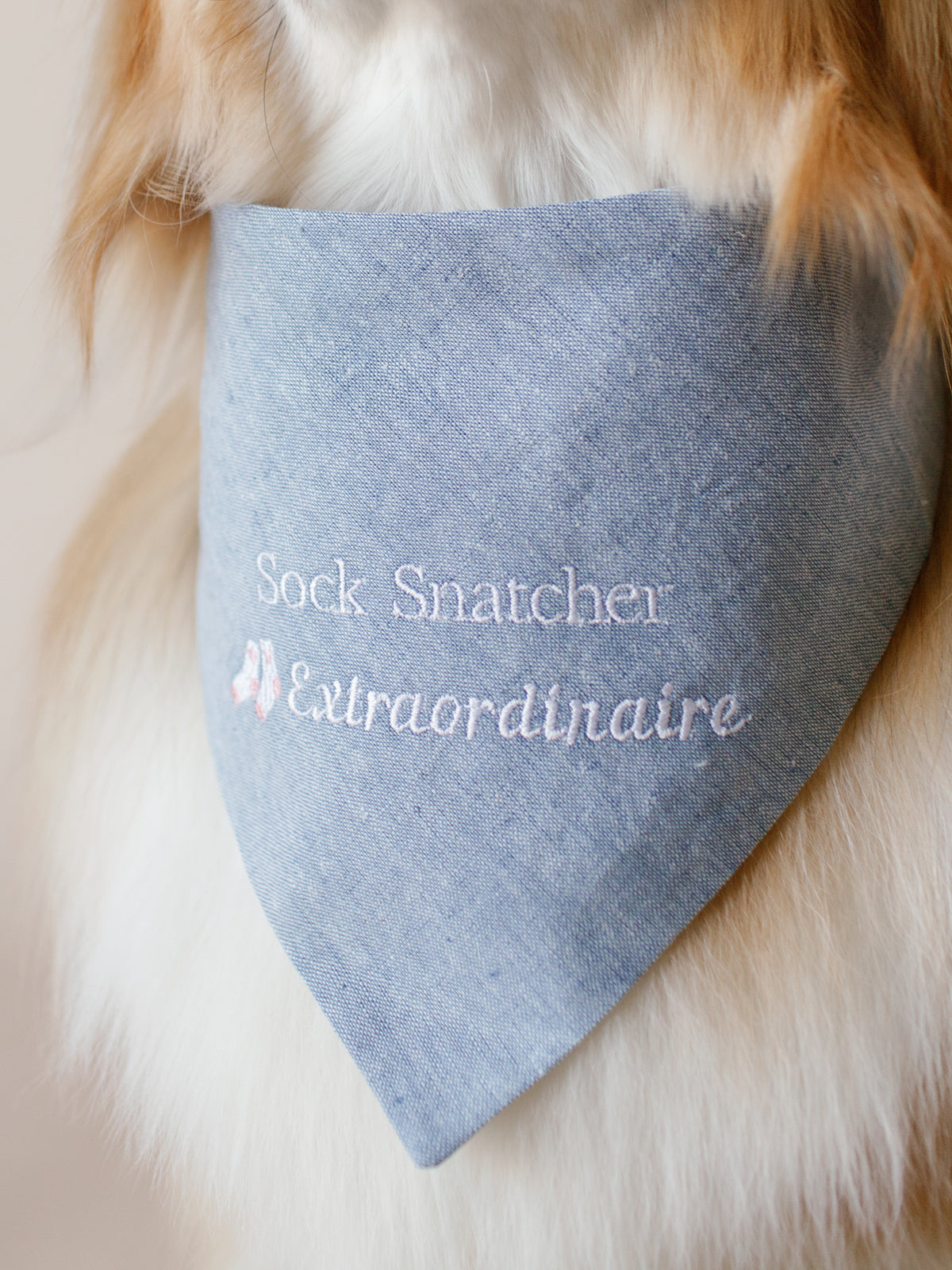 Sock Snatcher Extraordinaire Embroidered Dog Bandana - Canoodle Company