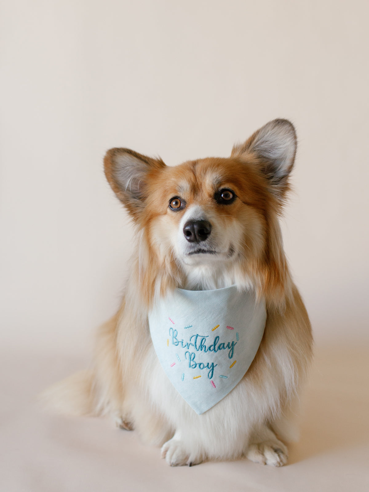 Birthday Boy with Sprinkles Embroidered Dog Bandana | CUSTOM COLORS - Canoodle Company