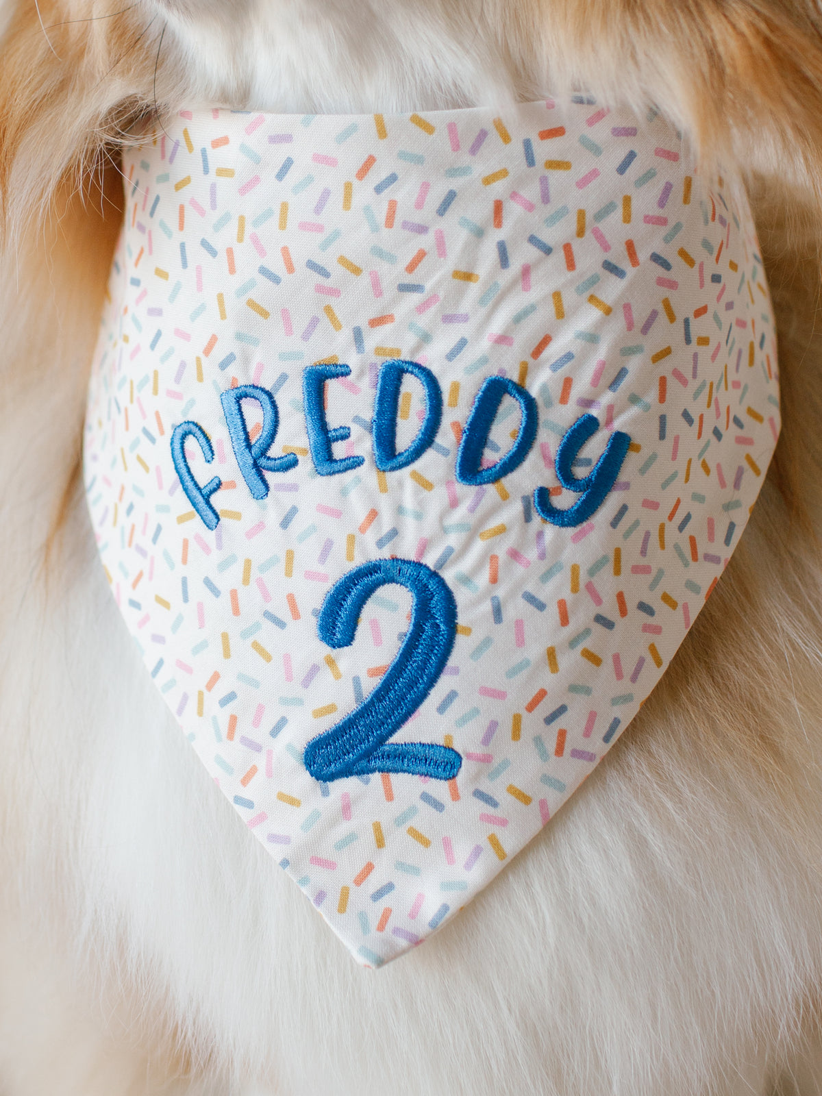 Birthday Name & Number Embroidered Dog Bandana | CUSTOM COLORS - Canoodle Company