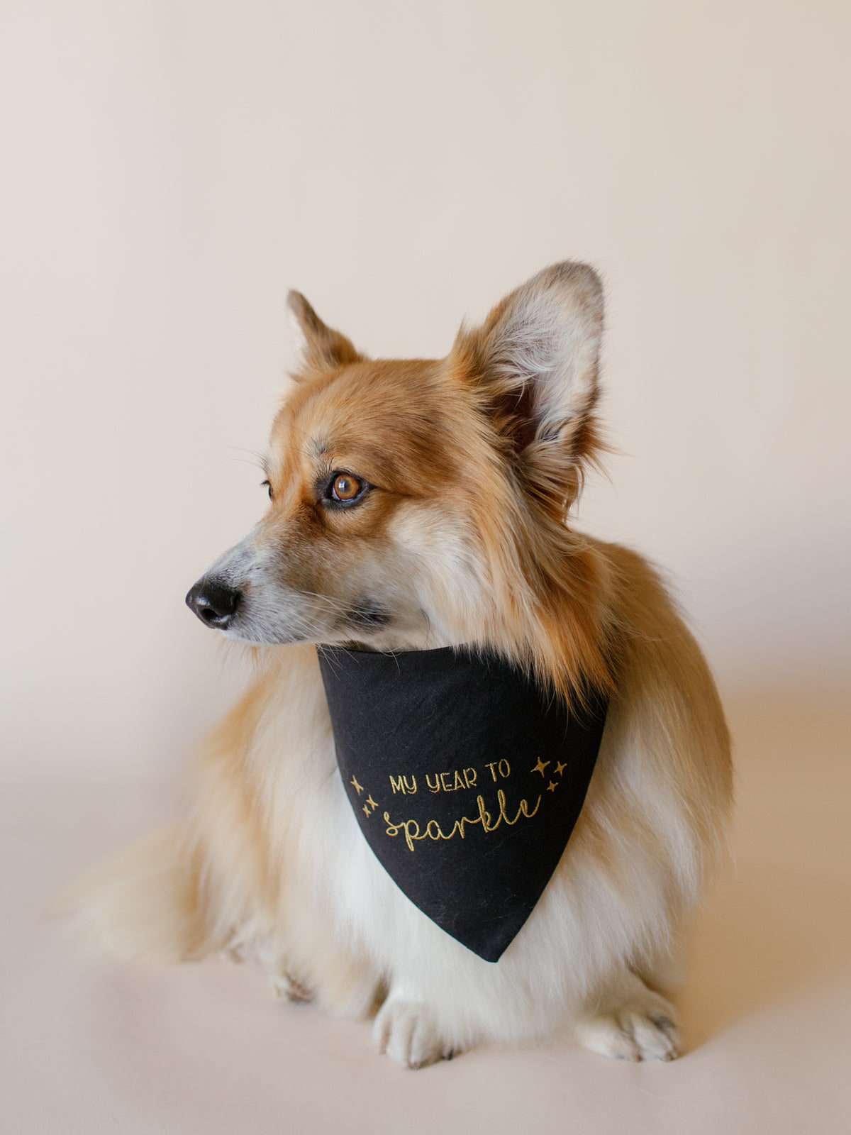 My year to sparkle Embroidered Dog Bandana - Canoodle Company