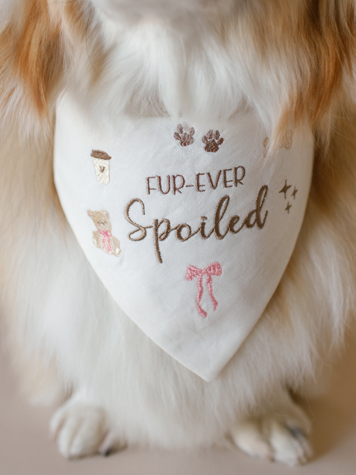 Fur-ever Spoiled Embroidered Dog Bandana - Canoodle Company