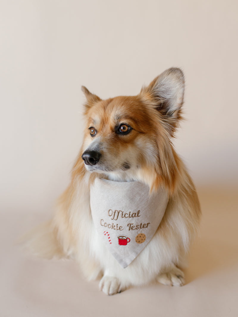 Official Cookie Tester Embroidered Dog Bandana - Canoodle Company