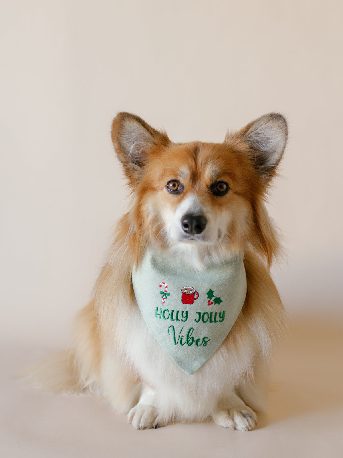 Holly Jolly Vibes Embroidered Dog Bandana - Canoodle Company