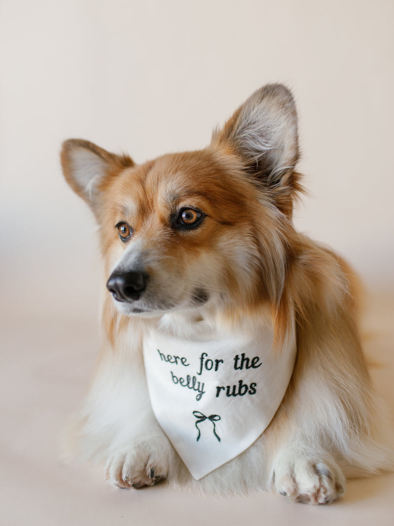 Here for the belly rubs Embroidered Dog Bandana - Canoodle Company