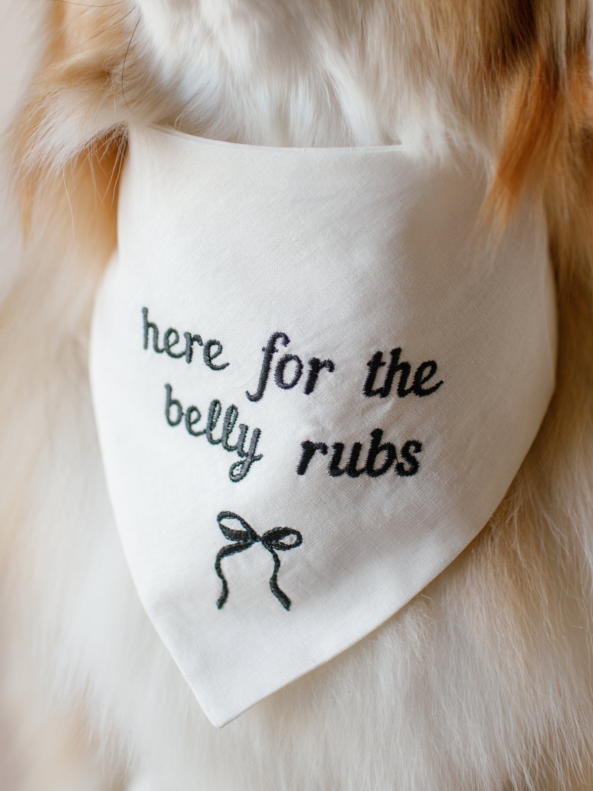 Here for the belly rubs Embroidered Dog Bandana - Canoodle Company