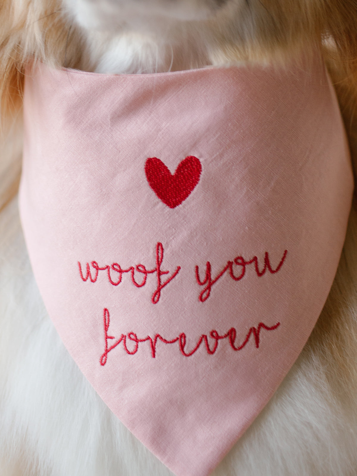 Woof you forever Embroidered Dog Bandana - Canoodle Company