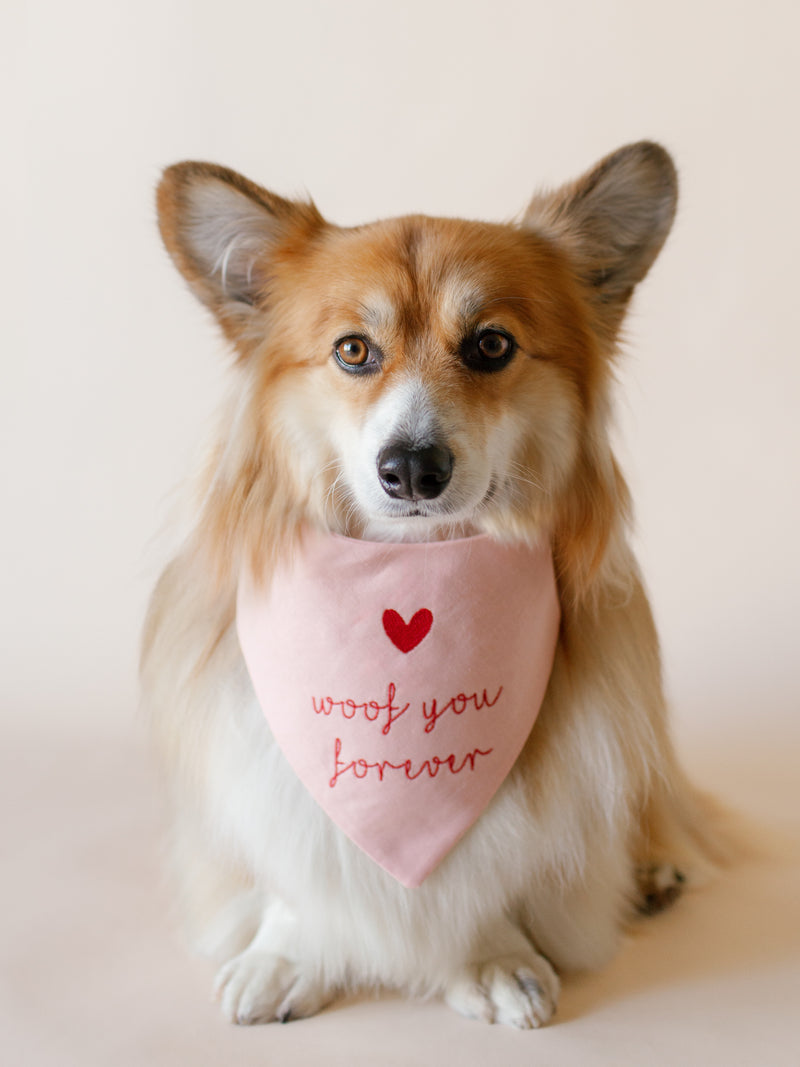 Woof you forever Embroidered Dog Bandana - Canoodle Company