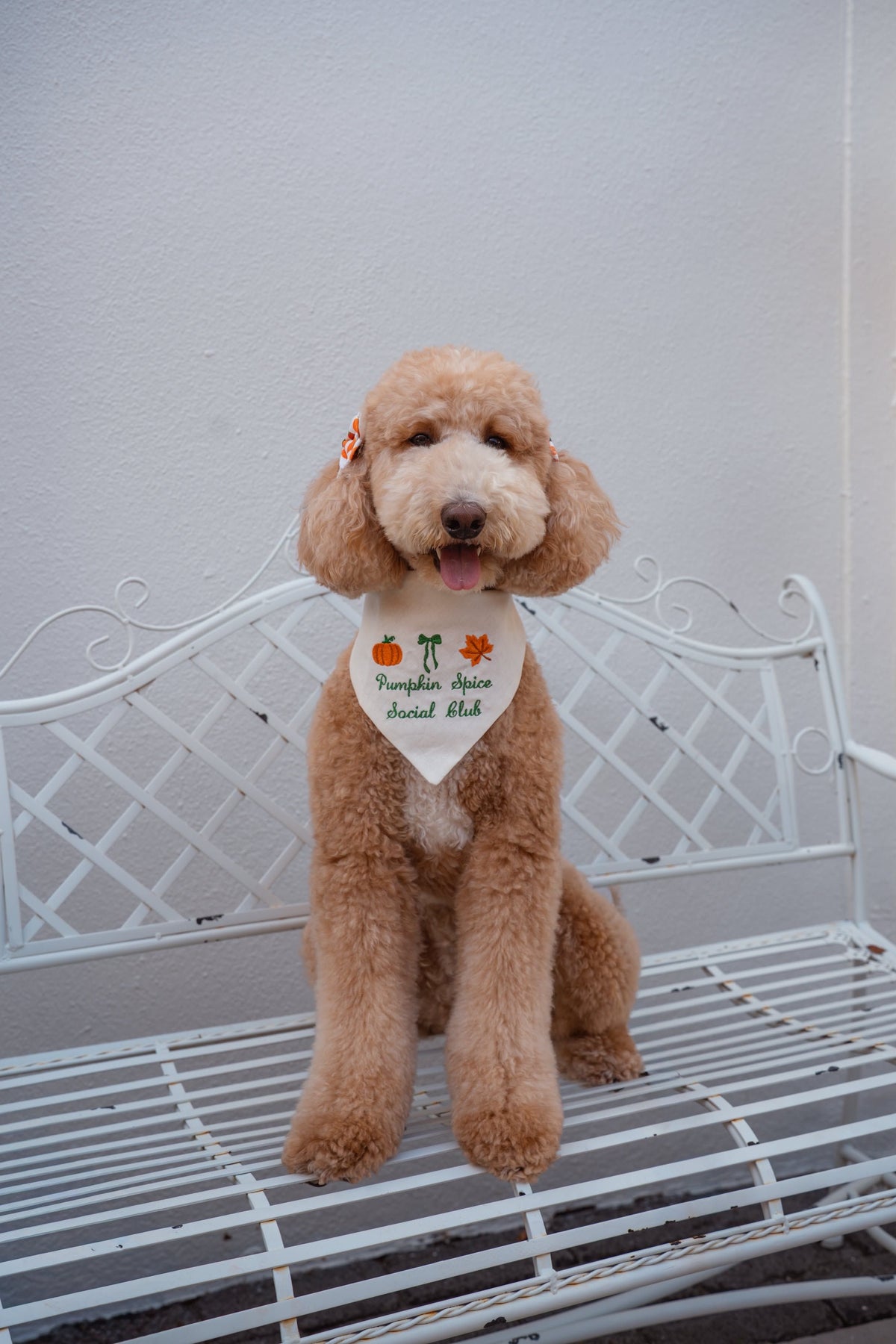 Pumpkin Spice Social Club Embroidered Dog Bandana