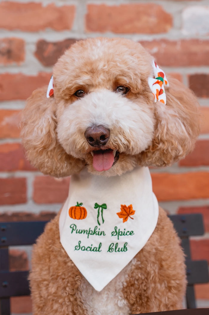 Pumpkin Spice Social Club Embroidered Dog Bandana