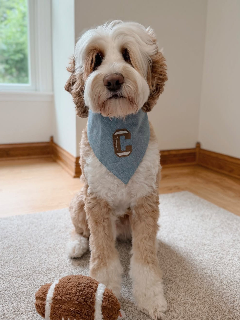 Football Letter Embroidered Dog Bandana | CUSTOM COLORS