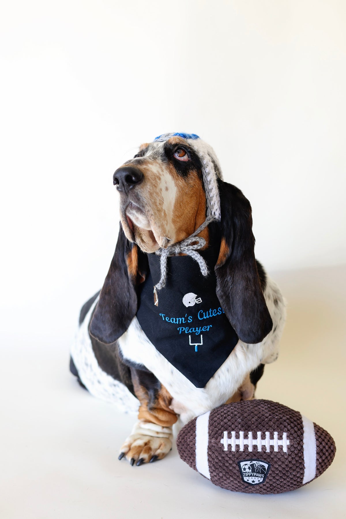 Football Icons Embroidered Dog Bandana | CUSTOM COLORS