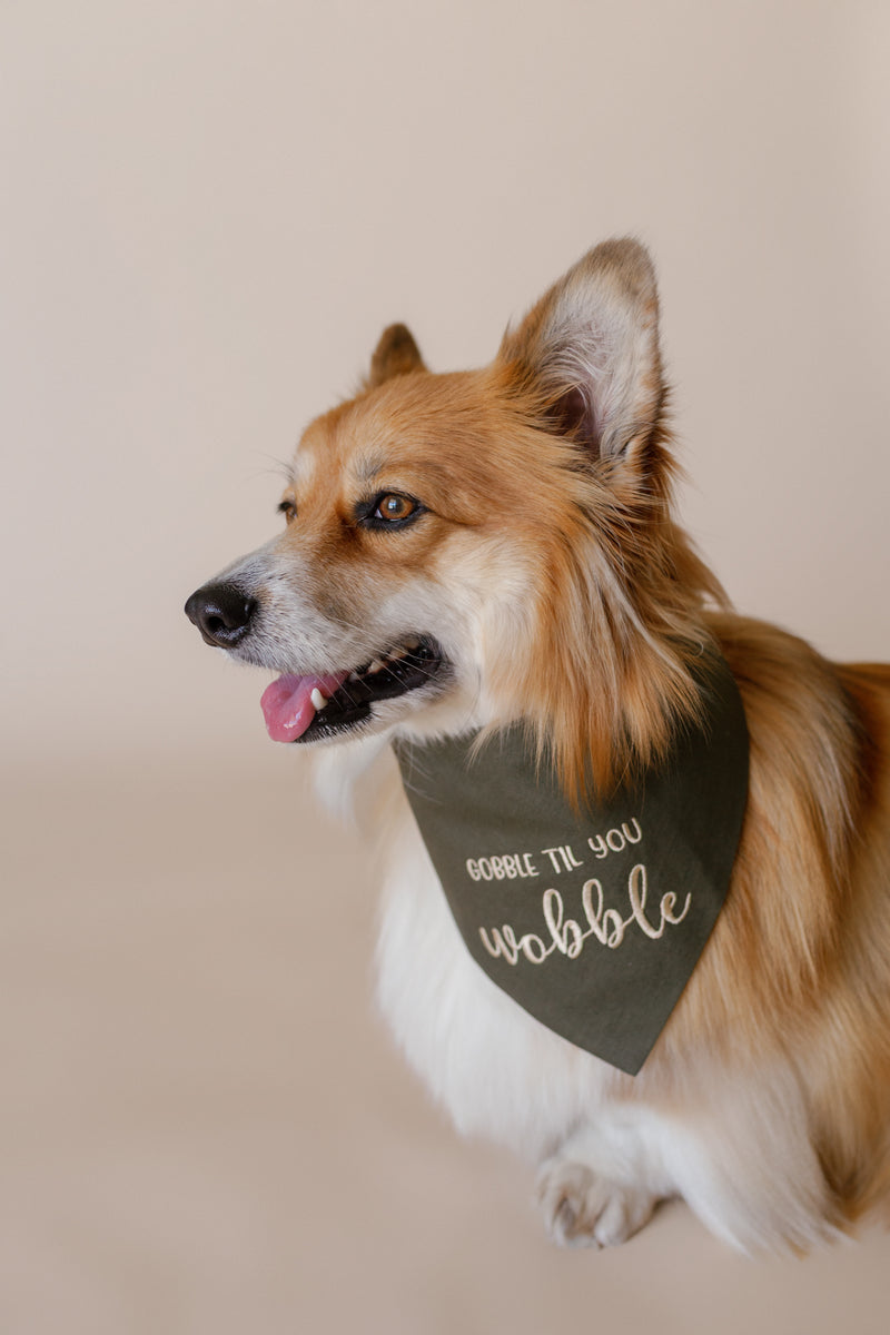 Dog wearing a bandana with text on a beige background