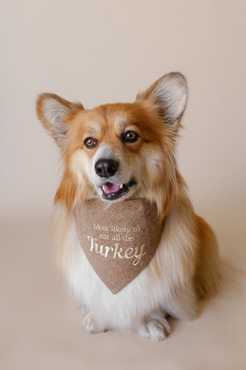Dog wearing a bandana with text on a plain background