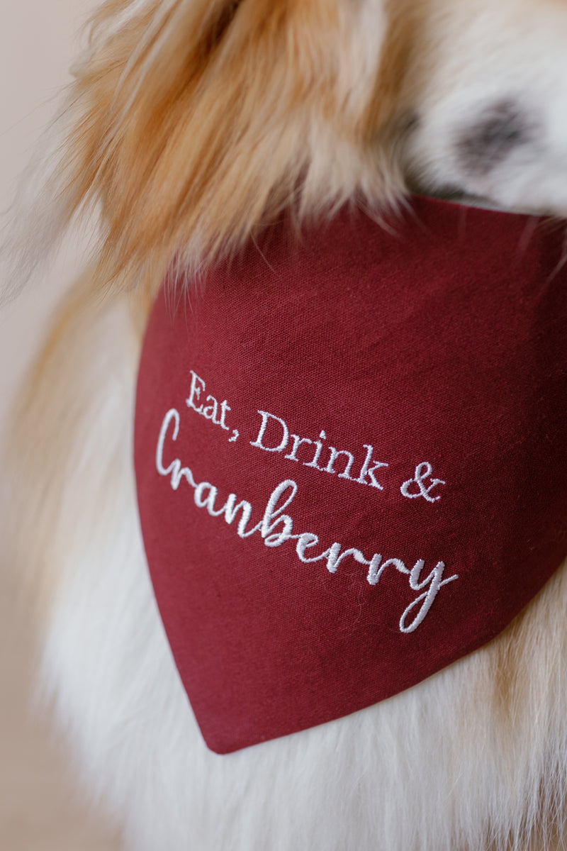 Dog wearing a red bandana with 'Eat, Drink & Cranberry' text on a neutral background