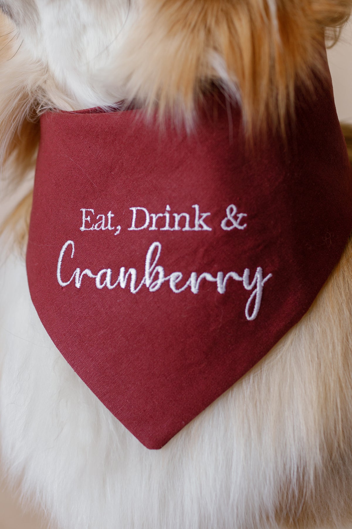 Red bandana with 'Eat, Drink & Cranberry' text on a dog's neck