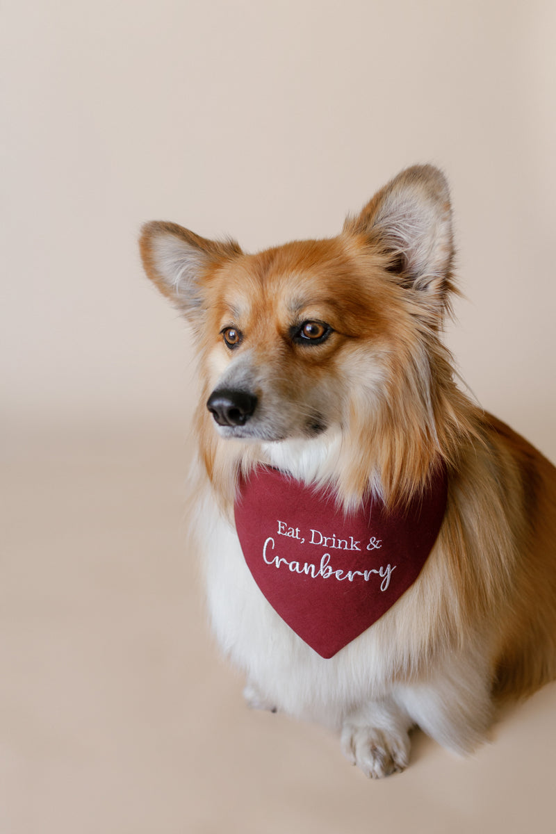 Dog wearing a red bandana with 'Eat, Drink & Cranberry' text on a beige background