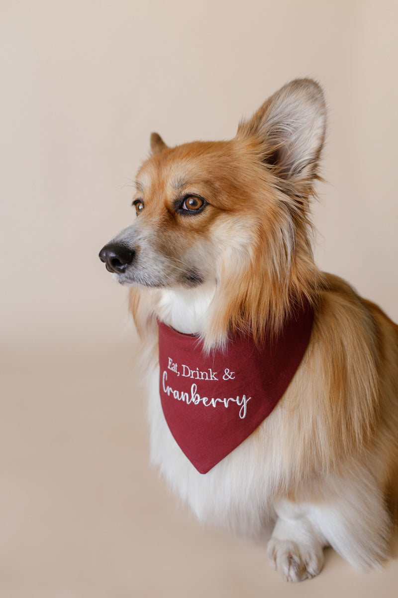 Dog wearing a red bandana with text on a beige background