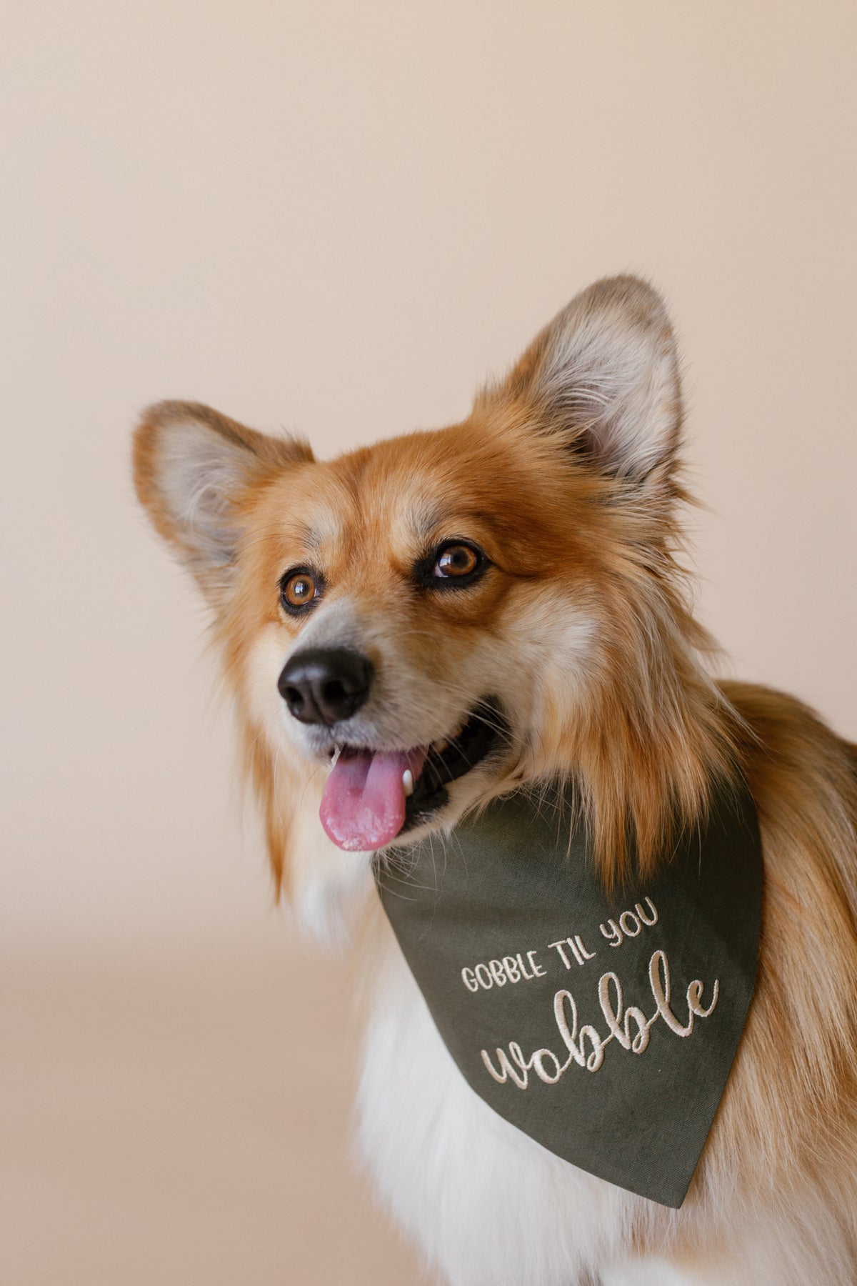 Dog wearing a thanksgiving bandana with text on a beige background