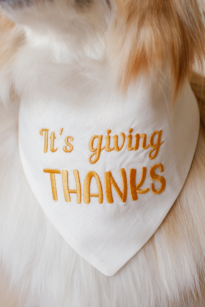 Dog bandana with 'It's giving THANKS' text on a fluffy white background