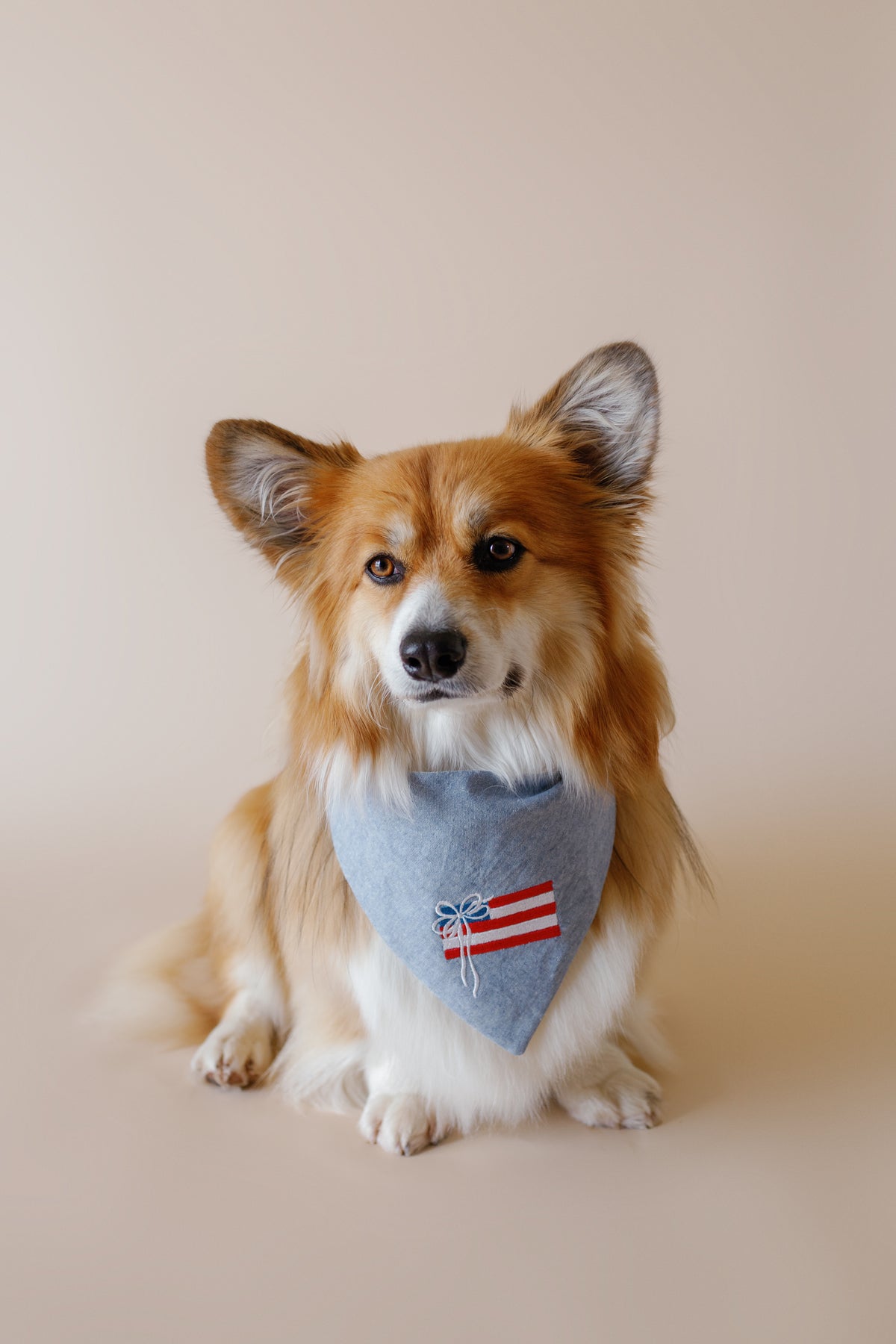 Americana Embroidered Dog Bandana