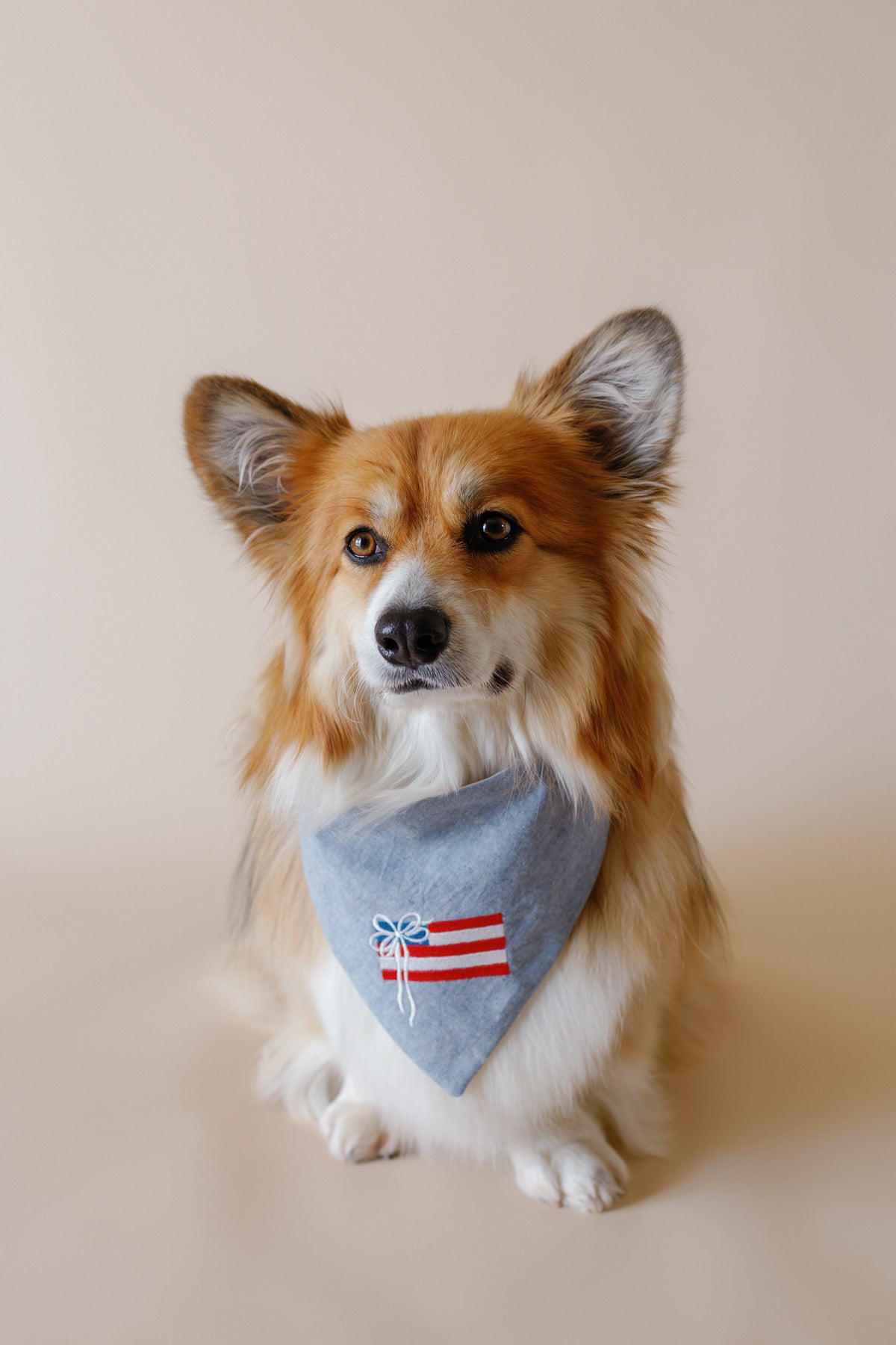 Americana Embroidered Dog Bandana