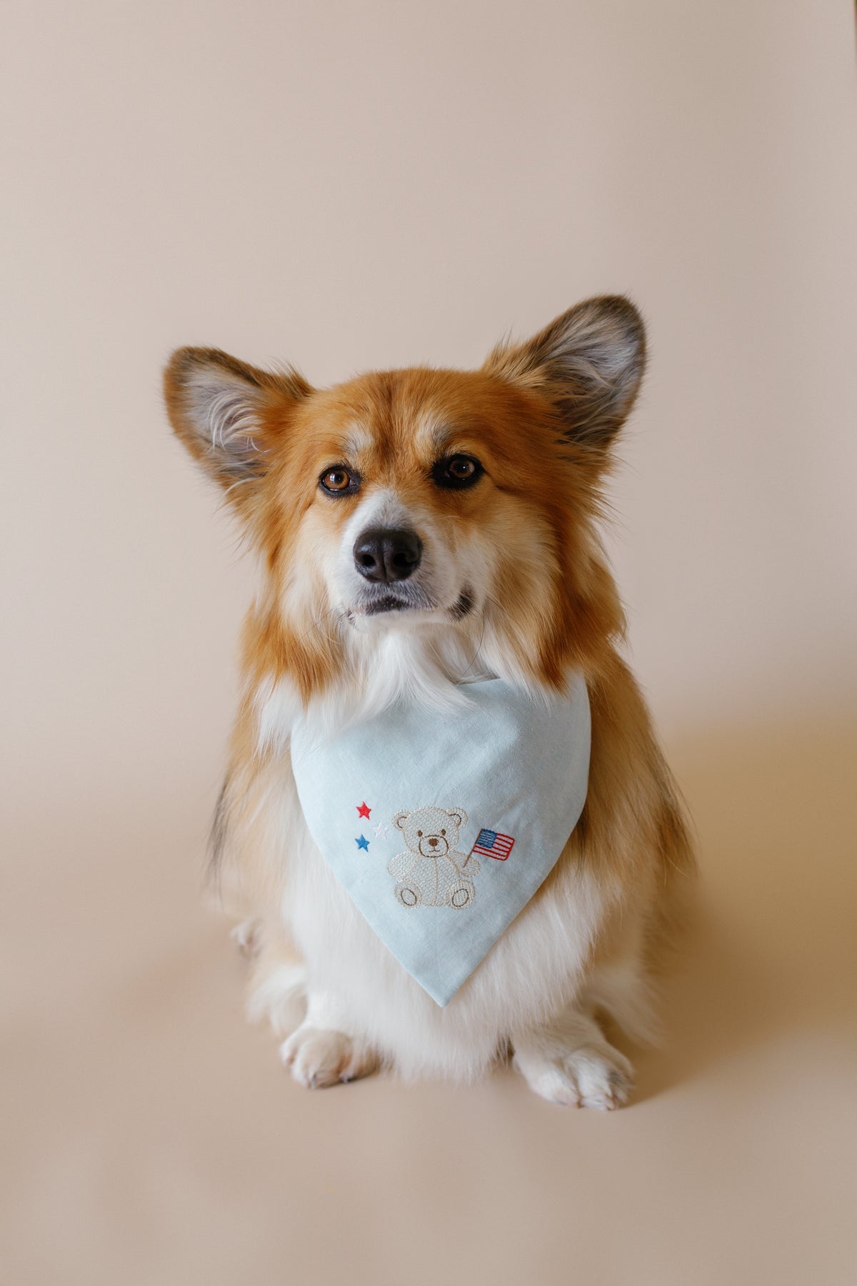 Patriotic Teddy Bear Embroidered Dog Bandana