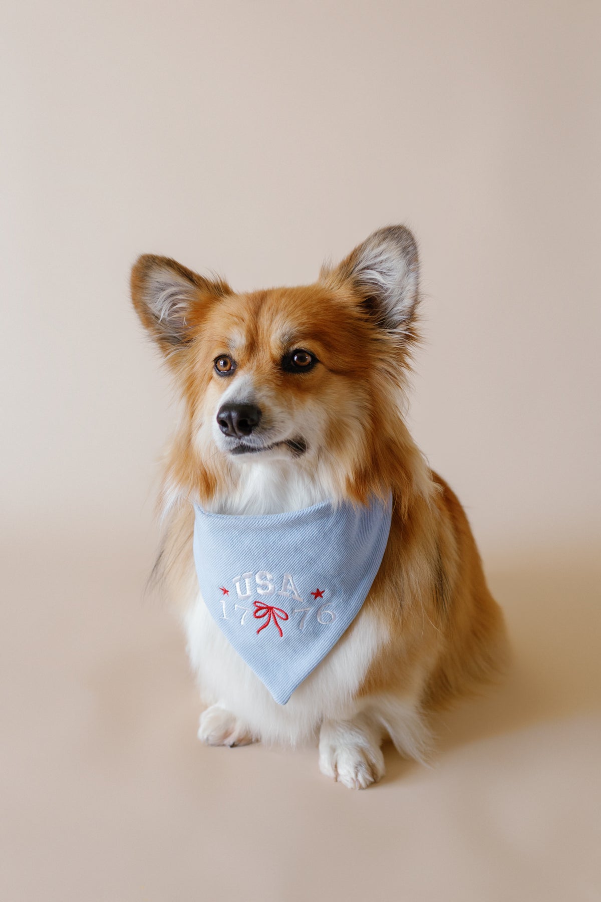 1776 USA Embroidered Dog Bandana - Canoodle Company