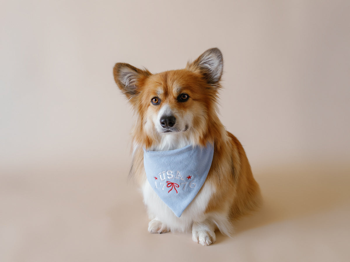 1776 USA Embroidered Dog Bandana - Canoodle Company