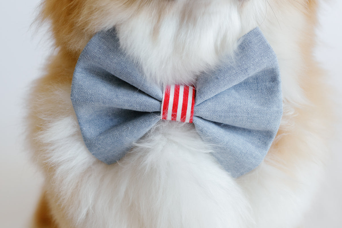 Patriotic Bowtie for Dog Collar - Canoodle Company